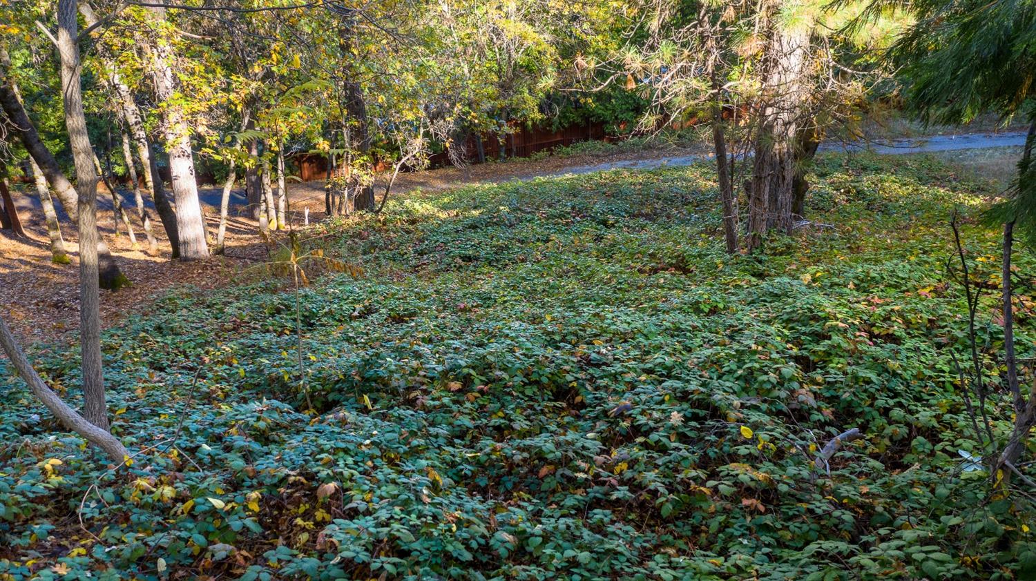 Sierra Blanca Court, Grass Valley, California image 12