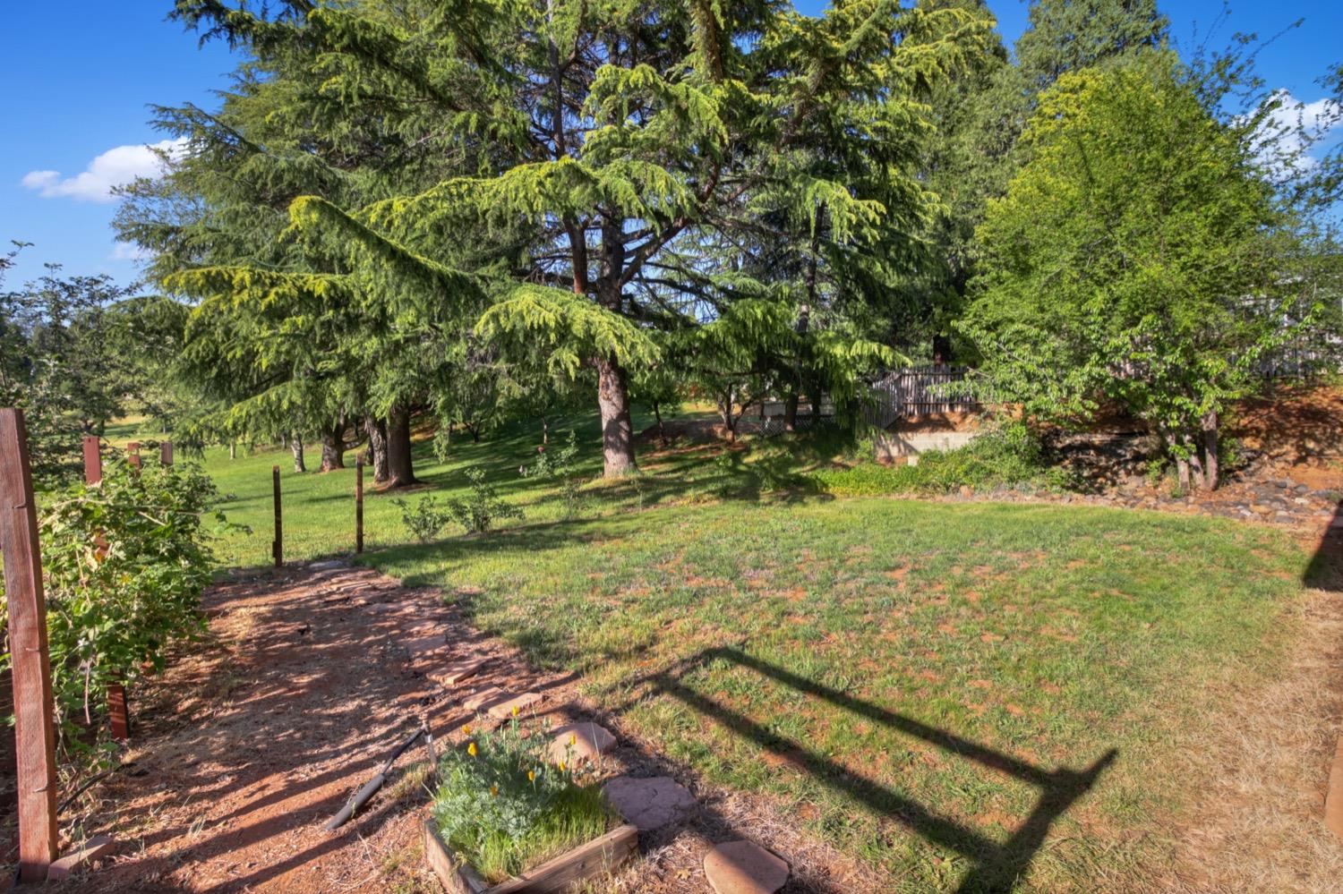 Camino Heights Drive, Camino, California image 32