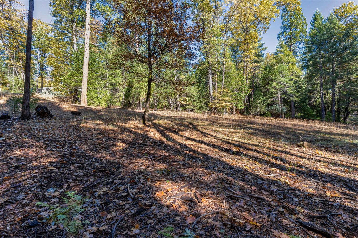 Gemini Court, Nevada City, California image 8