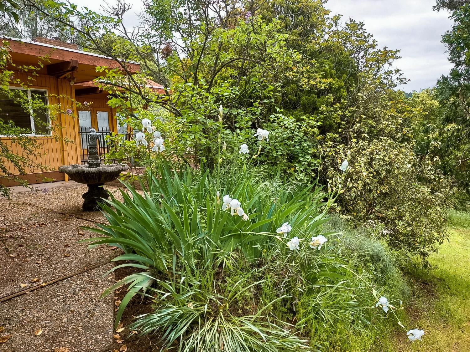 Detail Gallery Image 75 of 84 For 2587 Burns Rd, San Andreas,  CA 95249 - 3 Beds | 3 Baths