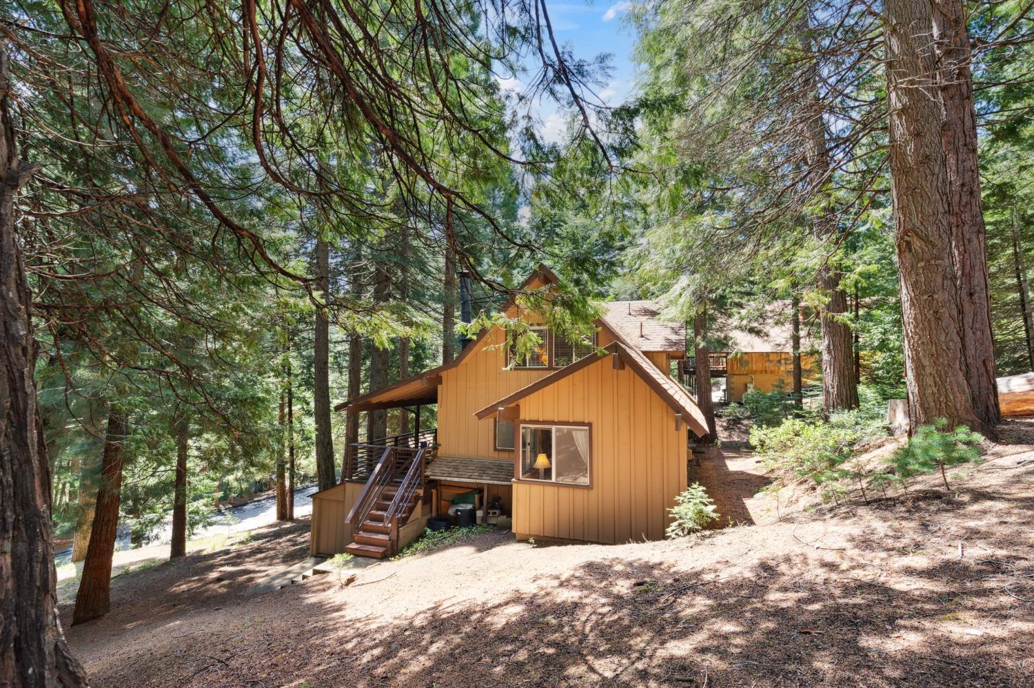 Silver Tip, Fish Camp, California image 9
