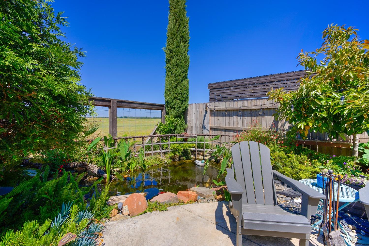 Marina Grande Way, Lincoln, California image 35