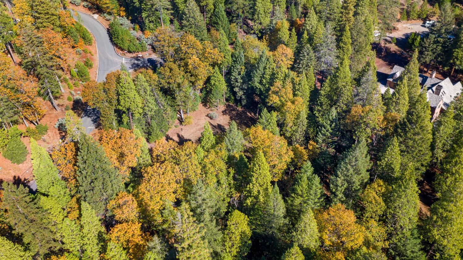 Gemini Court, Nevada City, California image 12