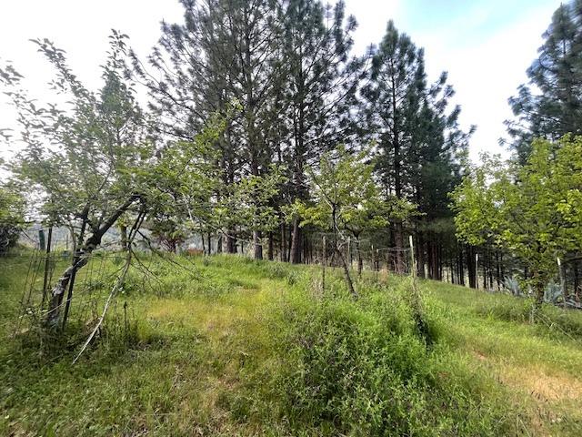 Detail Gallery Image 37 of 68 For 3188 One Eye Creek Rd, Placerville,  CA 95667 - 3 Beds | 2 Baths