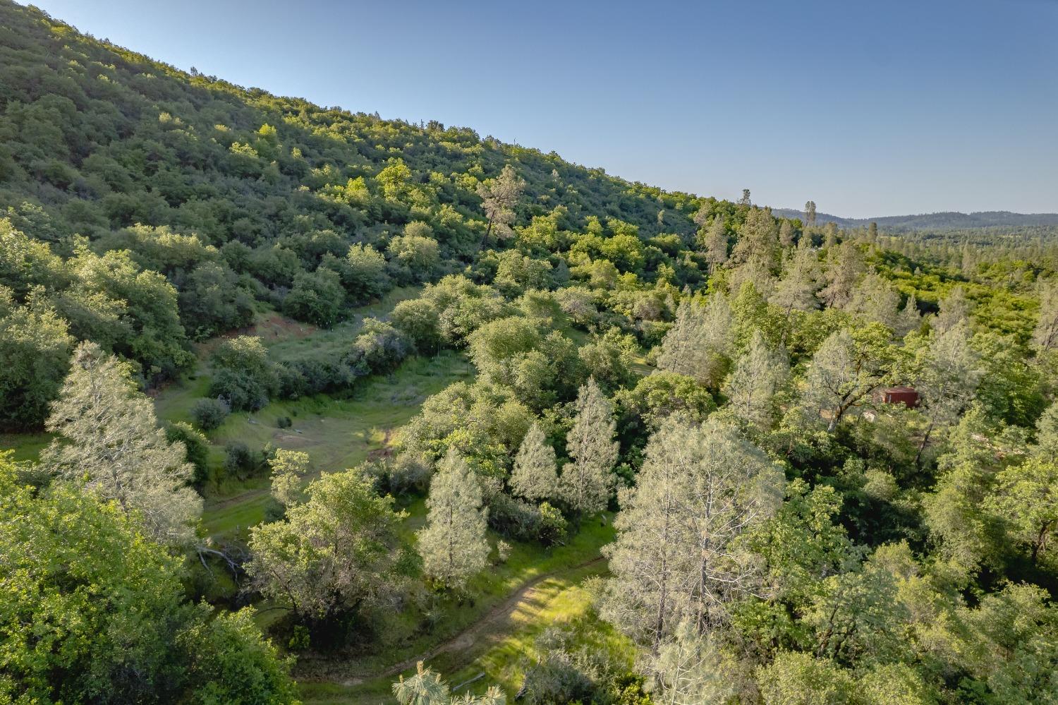 Vavassuer Way, Dobbins, California image 22