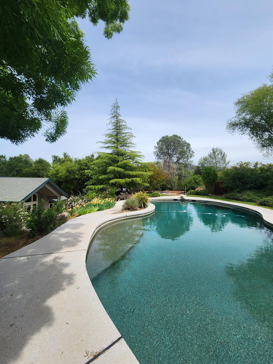 Detail Gallery Image 55 of 86 For 2401 Sanford Dr, Rescue,  CA 95672 - 4 Beds | 3 Baths