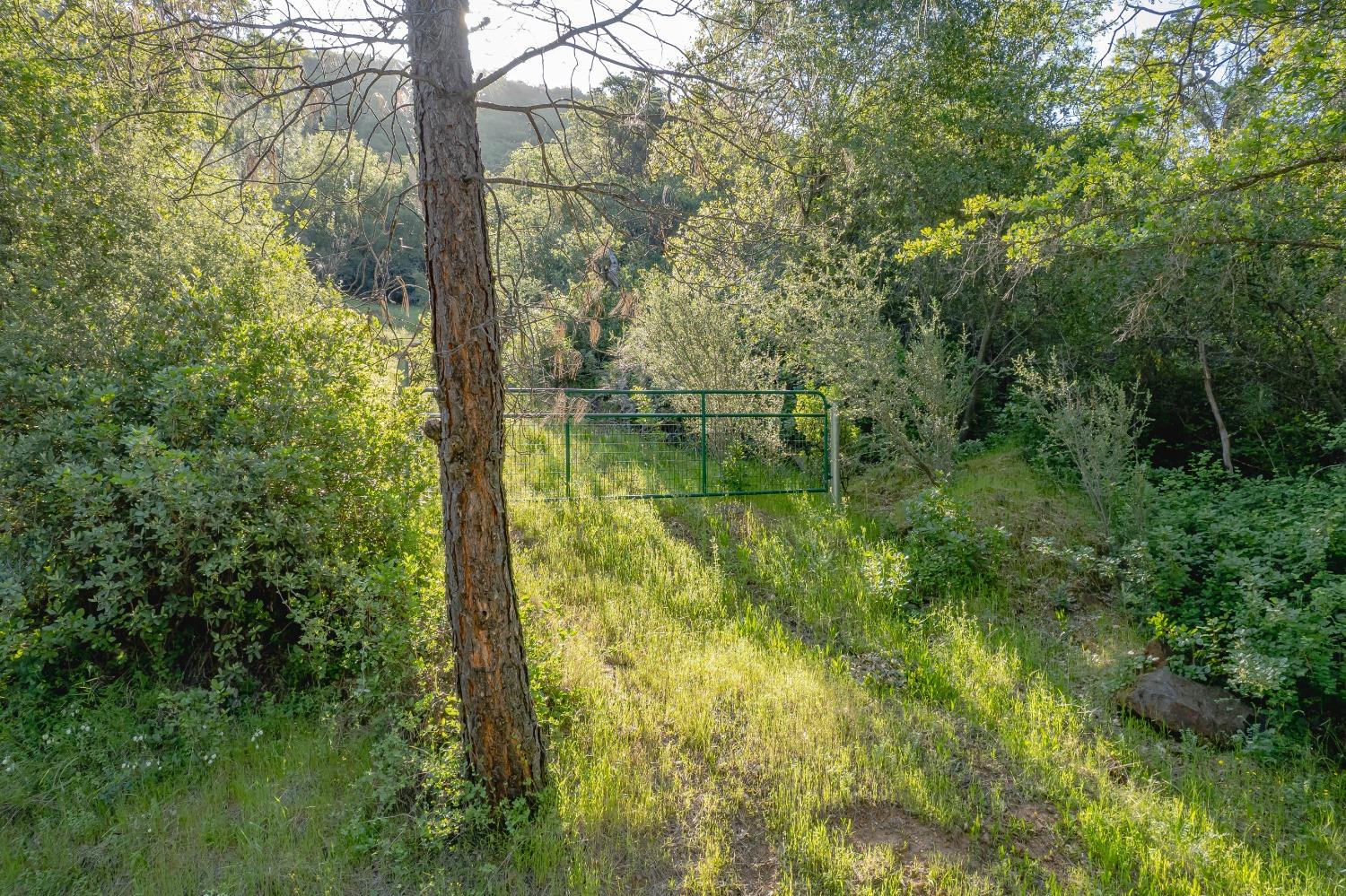 Vavassuer Way, Dobbins, California image 23