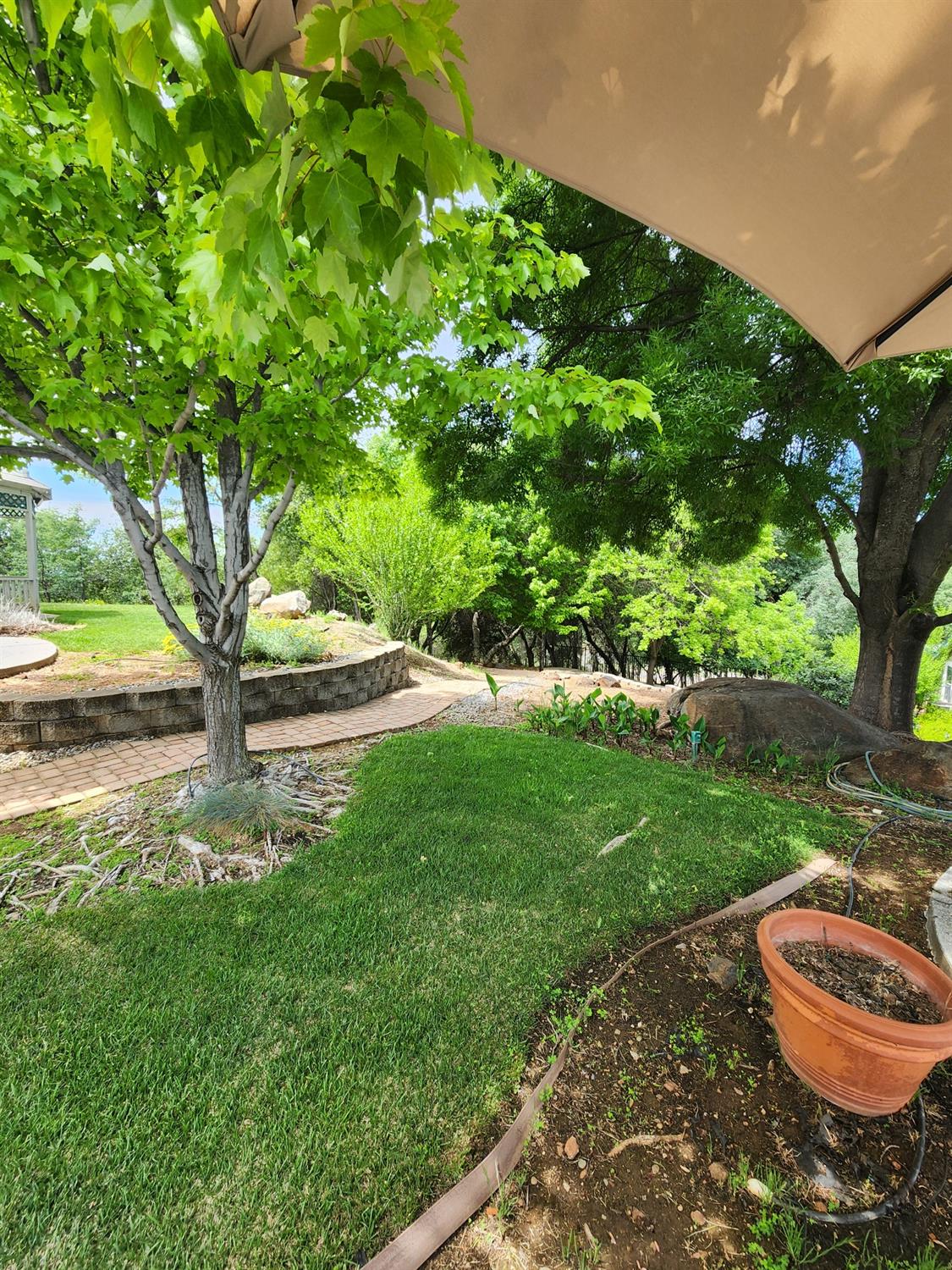 Detail Gallery Image 72 of 86 For 2401 Sanford Dr, Rescue,  CA 95672 - 4 Beds | 3 Baths