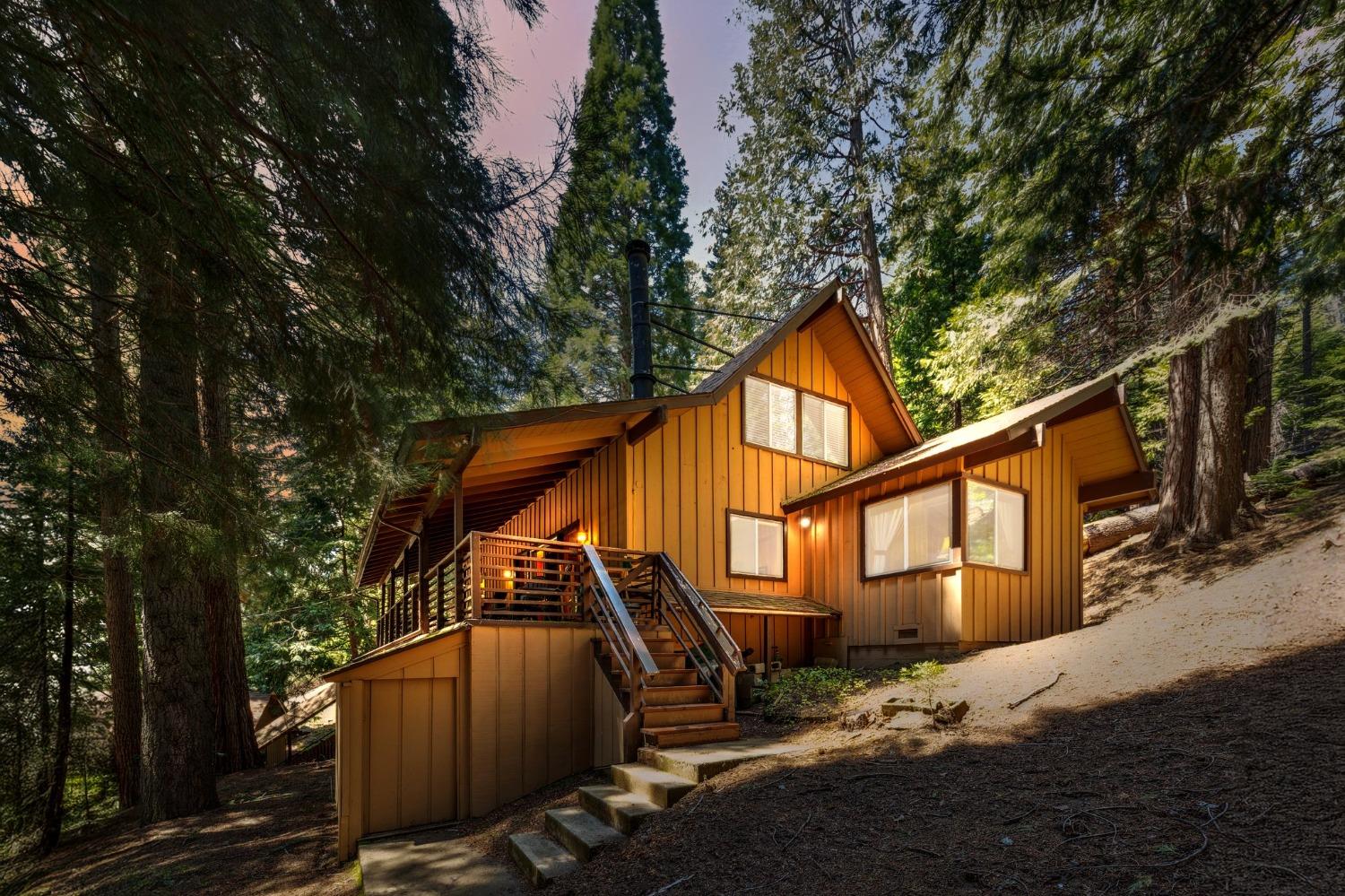 Silver Tip, Fish Camp, California image 1