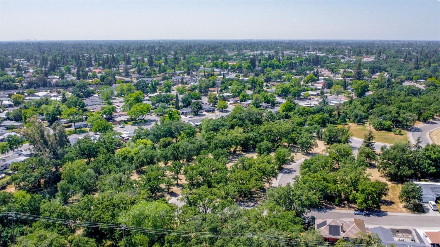 Meadow Lane, Roseville, California image 16