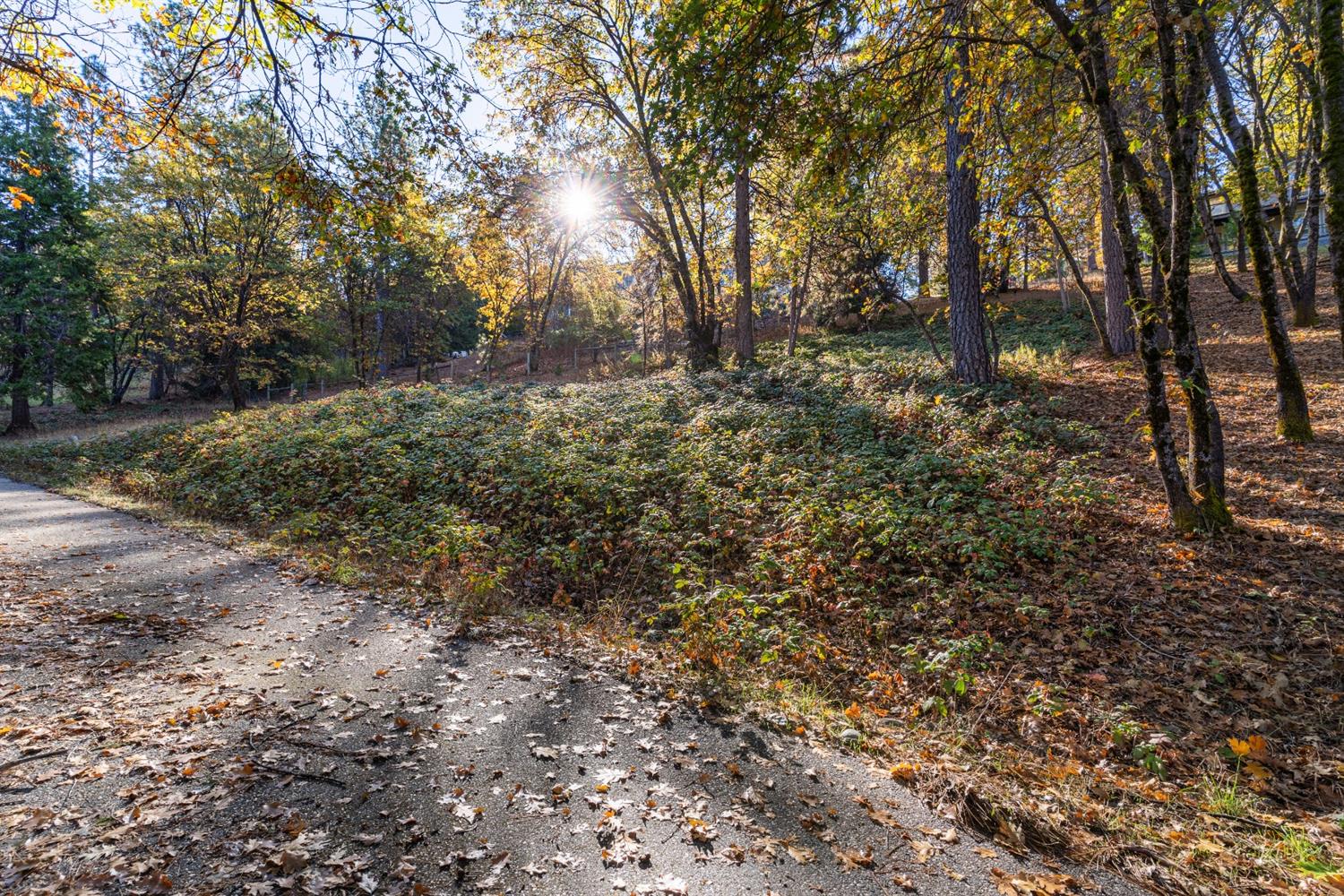 Sierra Blanca Court, Grass Valley, California image 21