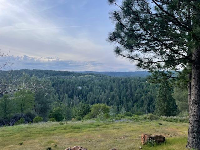 Detail Gallery Image 49 of 68 For 3188 One Eye Creek Rd, Placerville,  CA 95667 - 3 Beds | 2 Baths