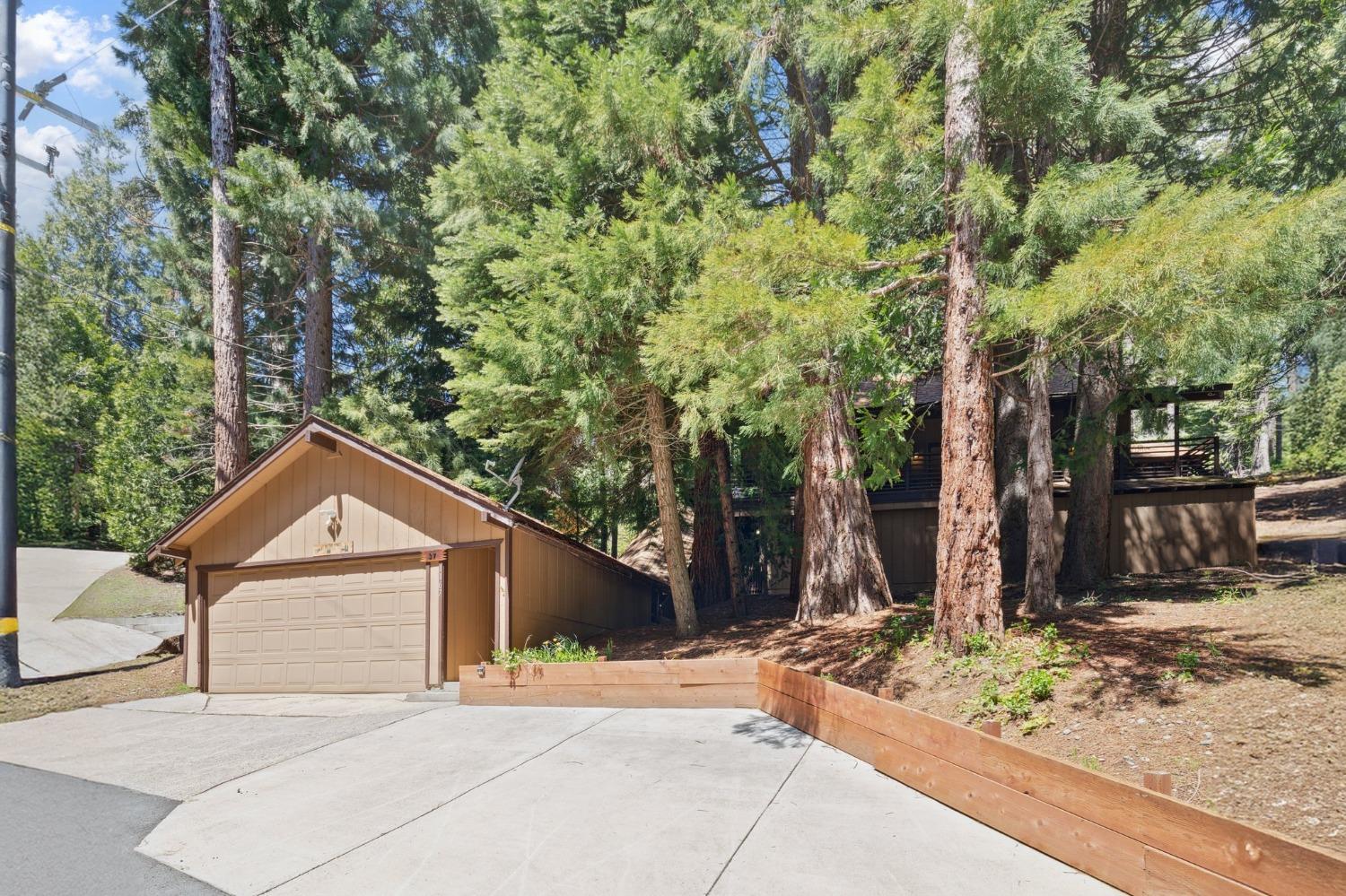 Silver Tip, Fish Camp, California image 6