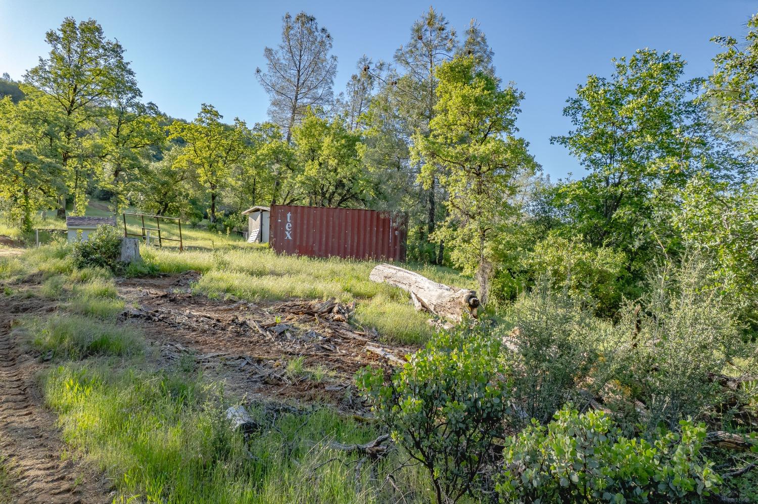 Vavassuer Way, Dobbins, California image 6
