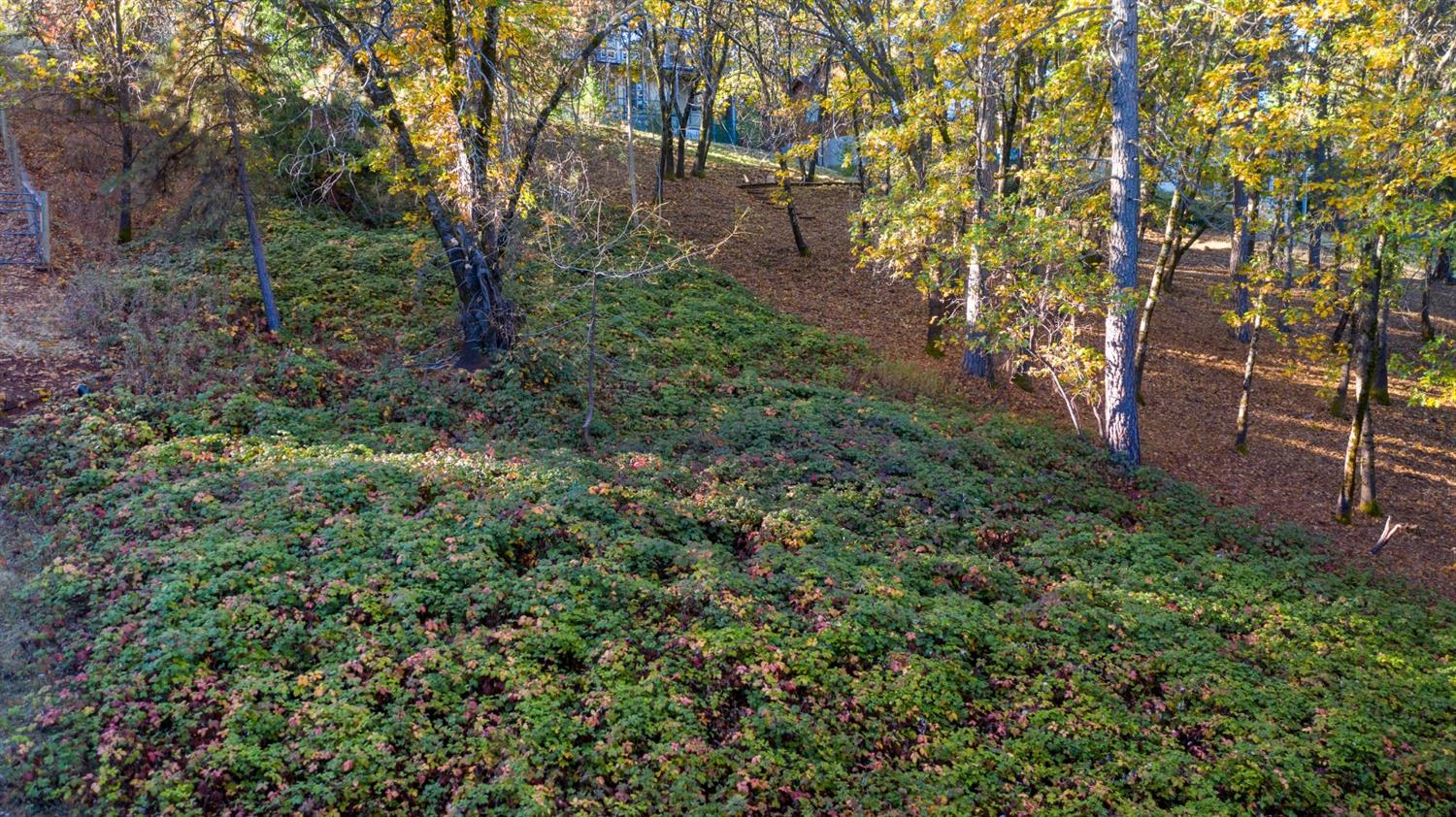 Sierra Blanca Court, Grass Valley, California image 8