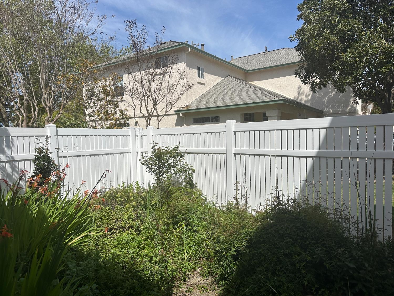 Greene Terrace, Davis, California image 9