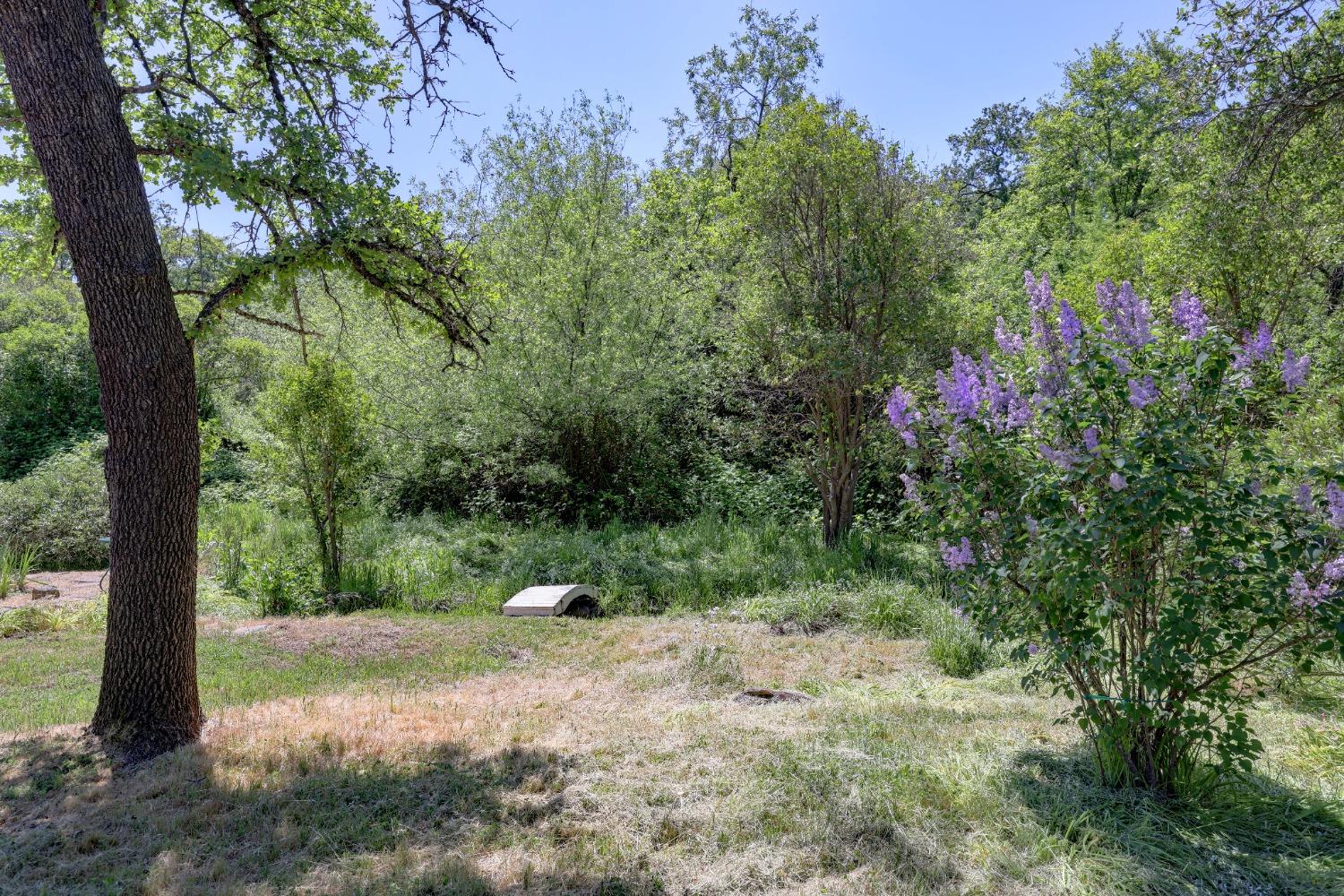 Detail Gallery Image 43 of 51 For 3765 Grass Valley Hwy 203, Auburn,  CA 95602 - 2 Beds | 2 Baths