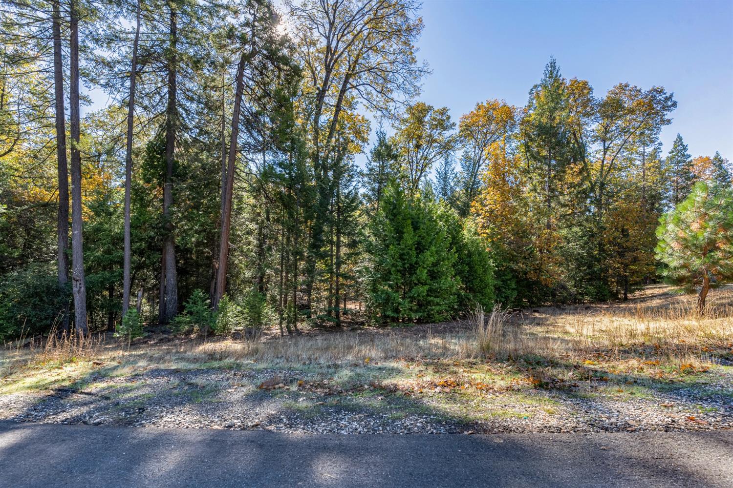 Gemini Court, Nevada City, California image 5