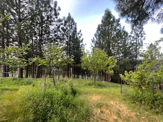 Detail Gallery Image 38 of 68 For 3188 One Eye Creek Rd, Placerville,  CA 95667 - 3 Beds | 2 Baths