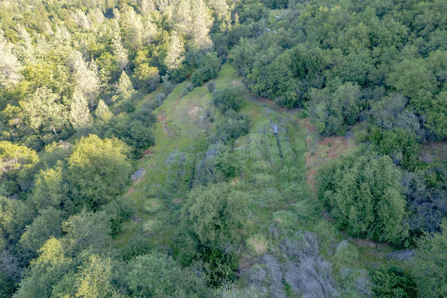 Vavassuer Way, Dobbins, California image 9