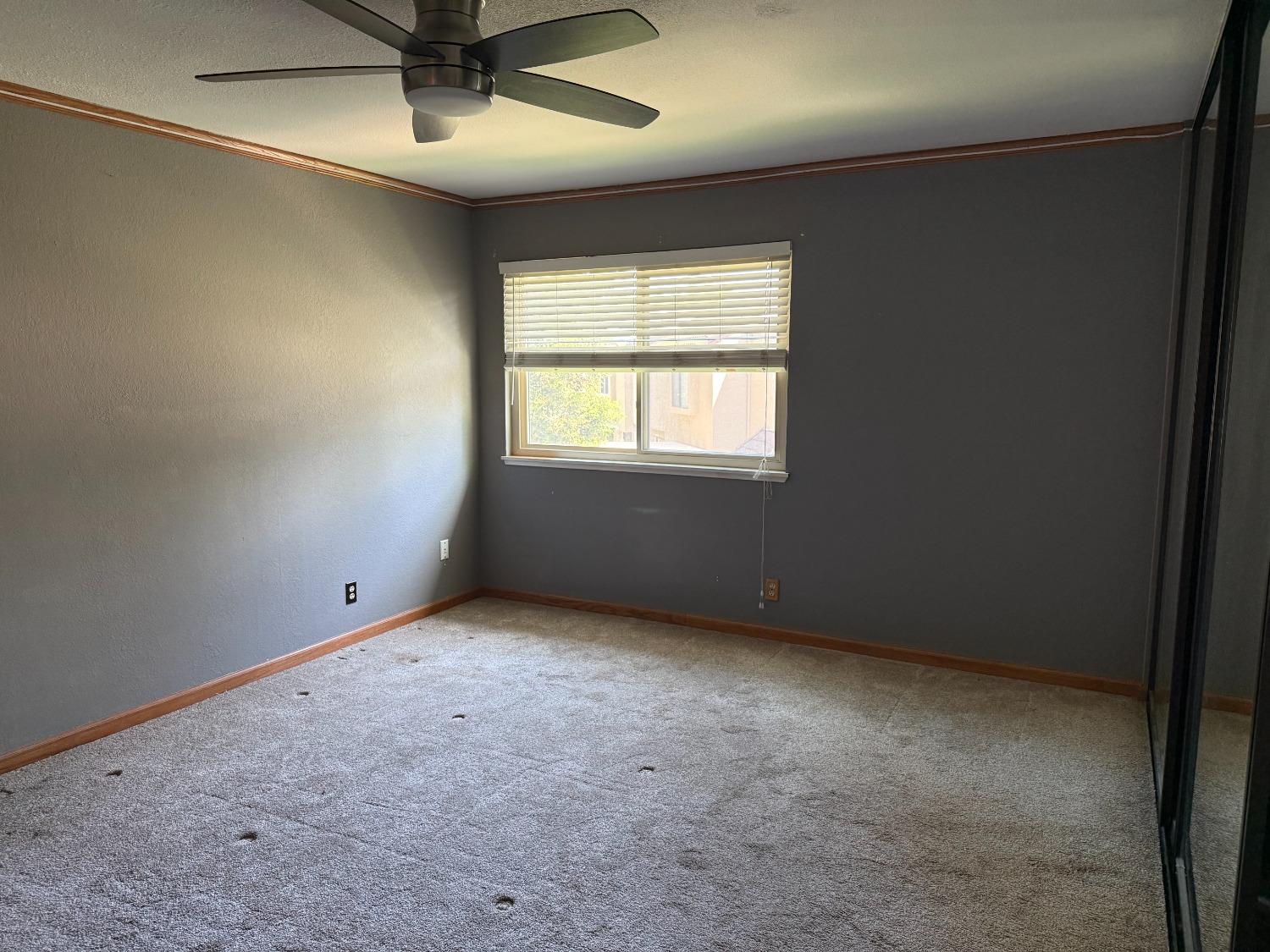 Photo #15: 225043468 Listing: Photo #15