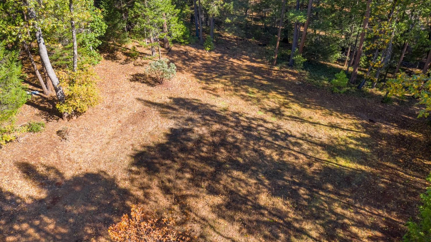 Gemini Court, Nevada City, California image 6
