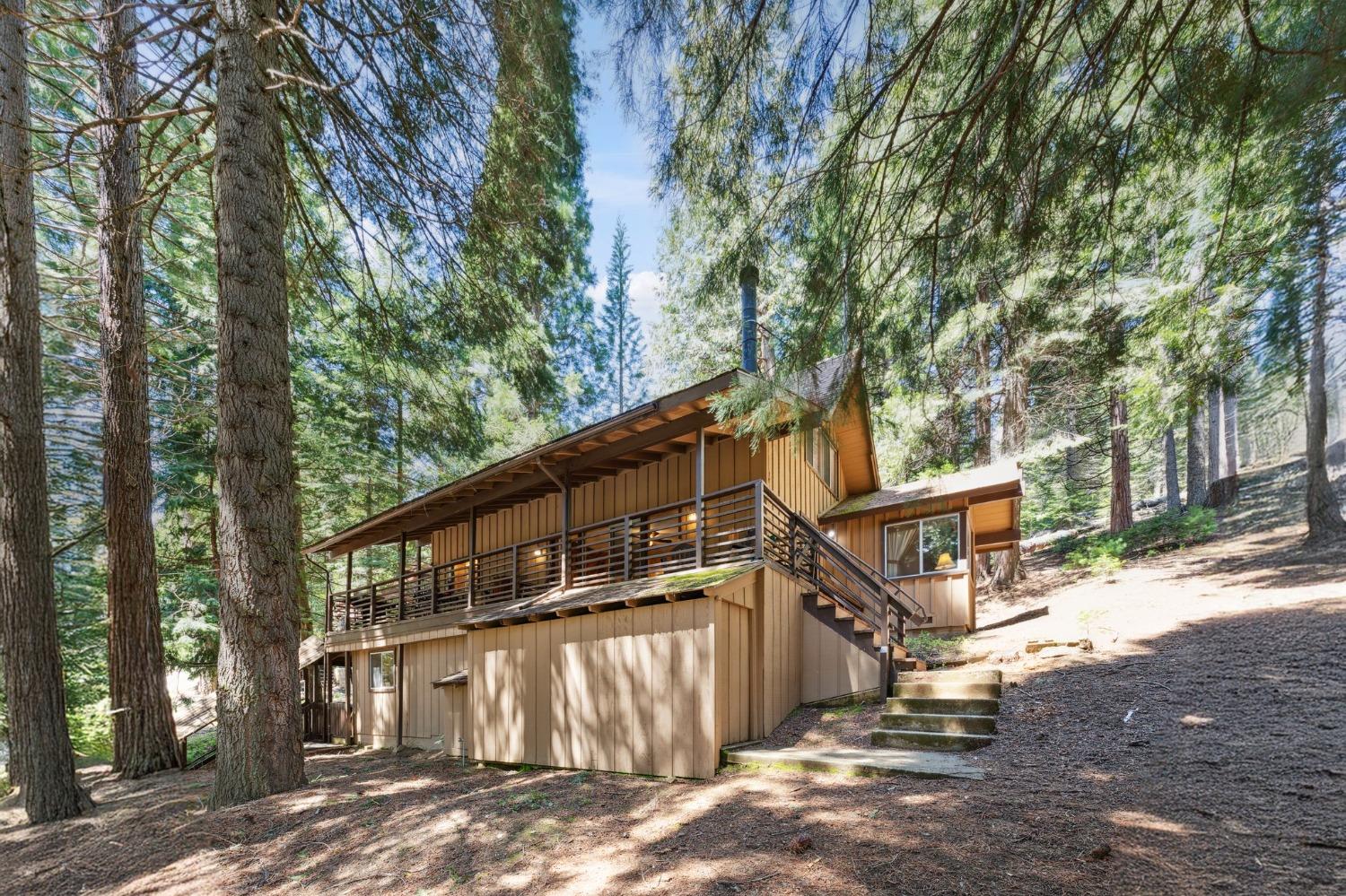 Silver Tip, Fish Camp, California image 3