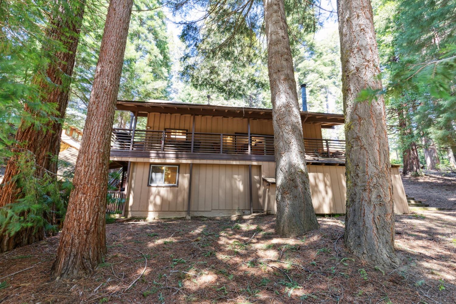 Silver Tip, Fish Camp, California image 7