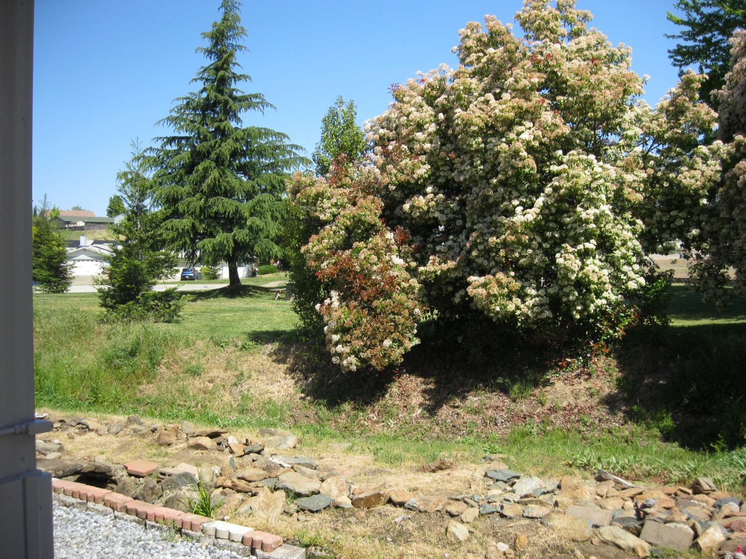Oro Monte, Sutter Creek, California image 13
