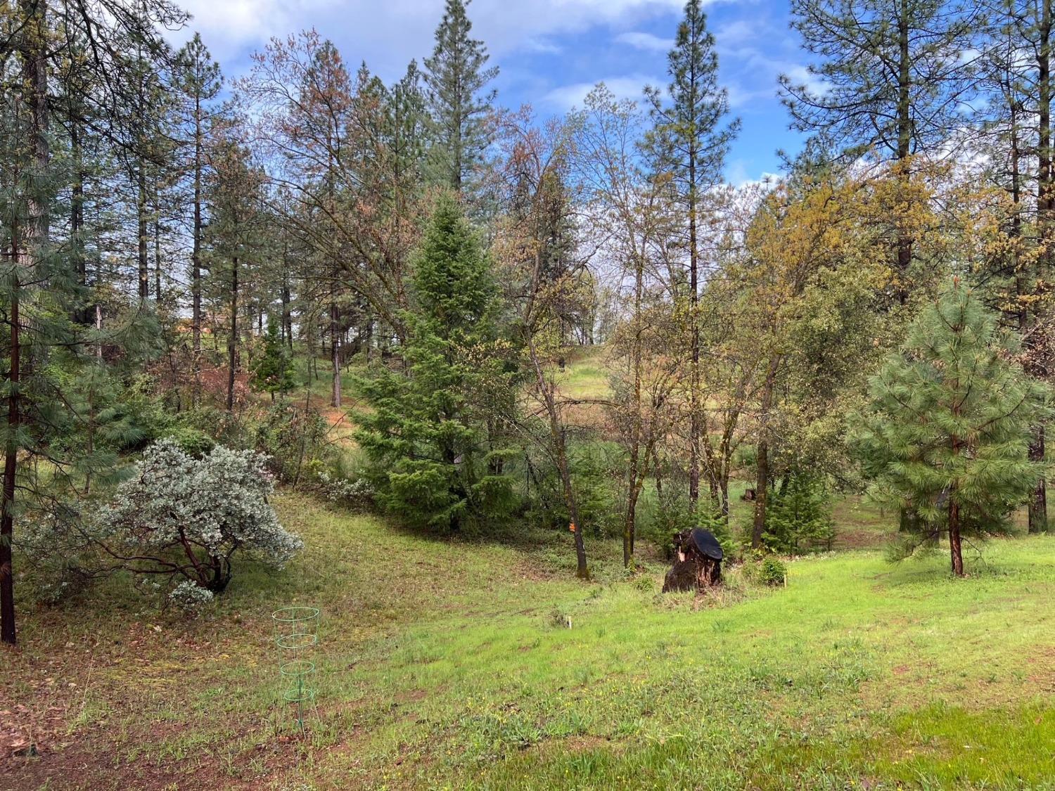 Detail Gallery Image 68 of 70 For 24275 Grand View Ave., Colfax,  CA 95713 - 5 Beds | 2 Baths