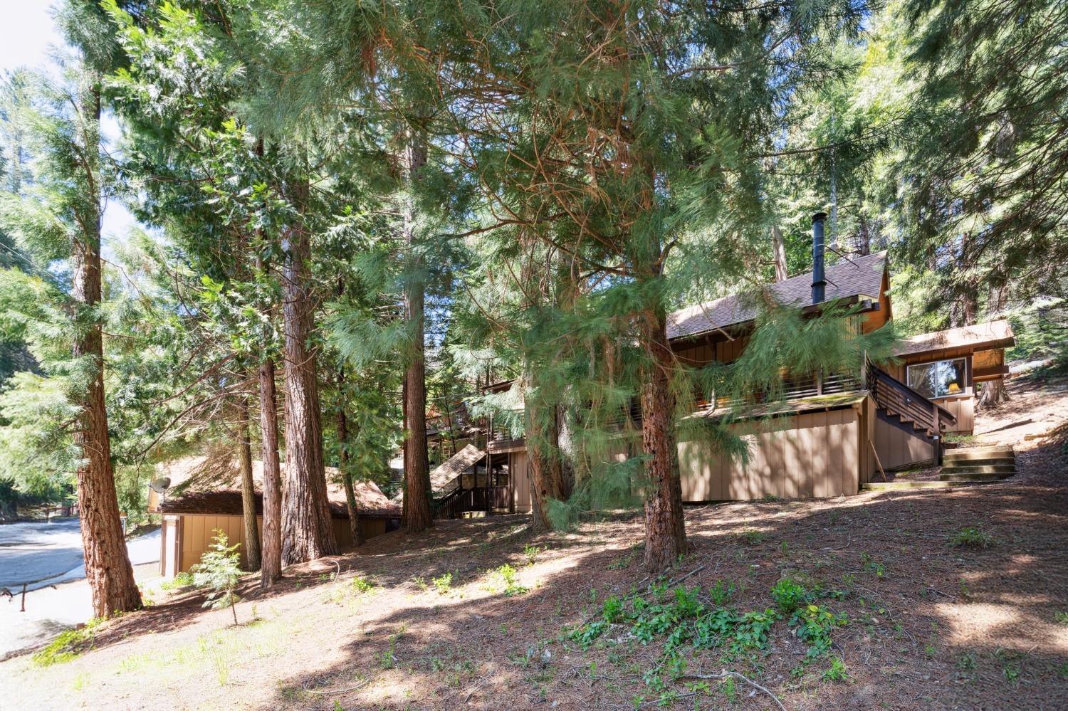 Silver Tip, Fish Camp, California image 8