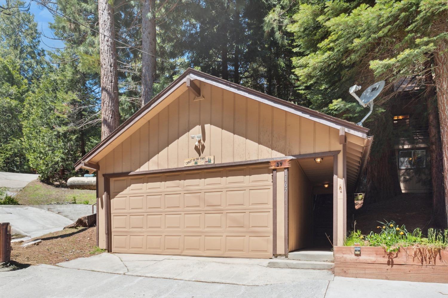 Silver Tip, Fish Camp, California image 5