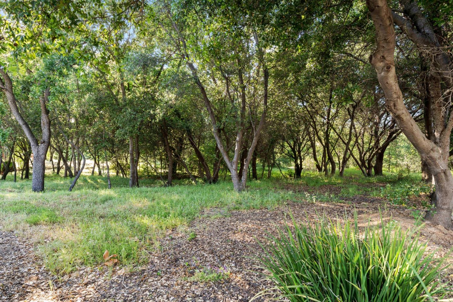 Detail Gallery Image 5 of 32 For 6222 Virk Ln, Citrus Heights,  CA 95621 - 2 Beds | 2 Baths