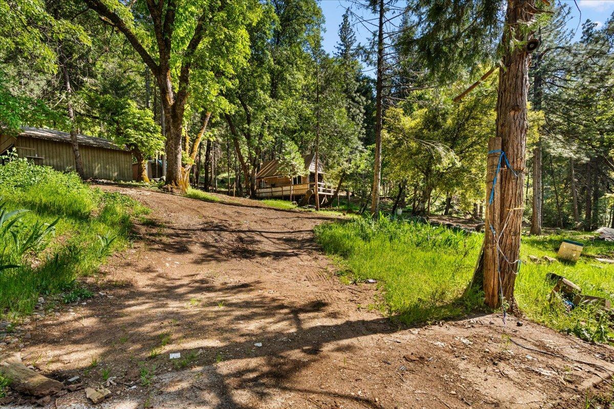 Detail Gallery Image 14 of 17 For 12056 N Bloomfield Rd, Nevada City,  CA 95959 - – Beds | – Baths