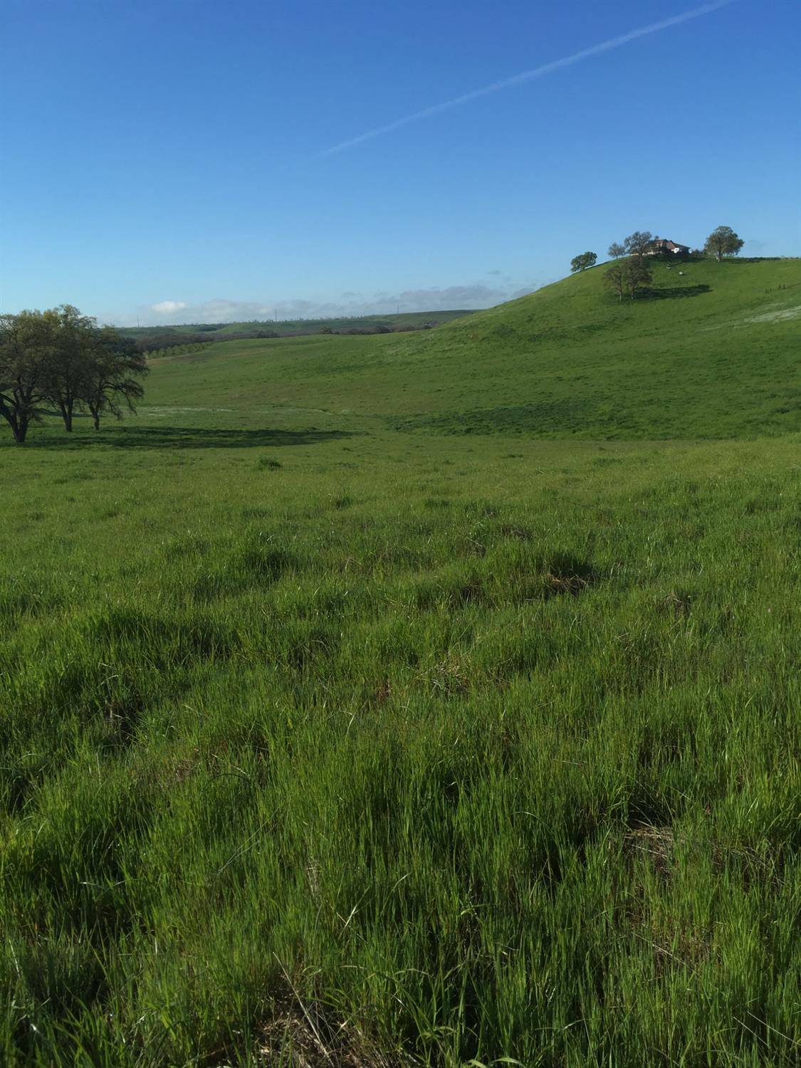 10440 Gregory Road, Valley Springs, California image 5
