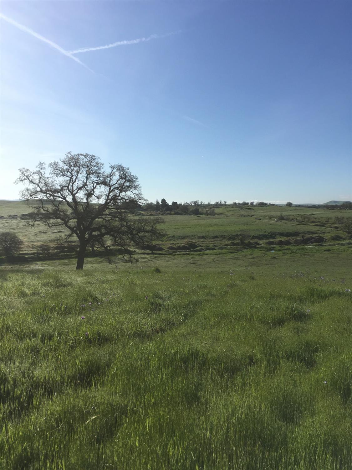 10440 Gregory Road, Valley Springs, California image 4