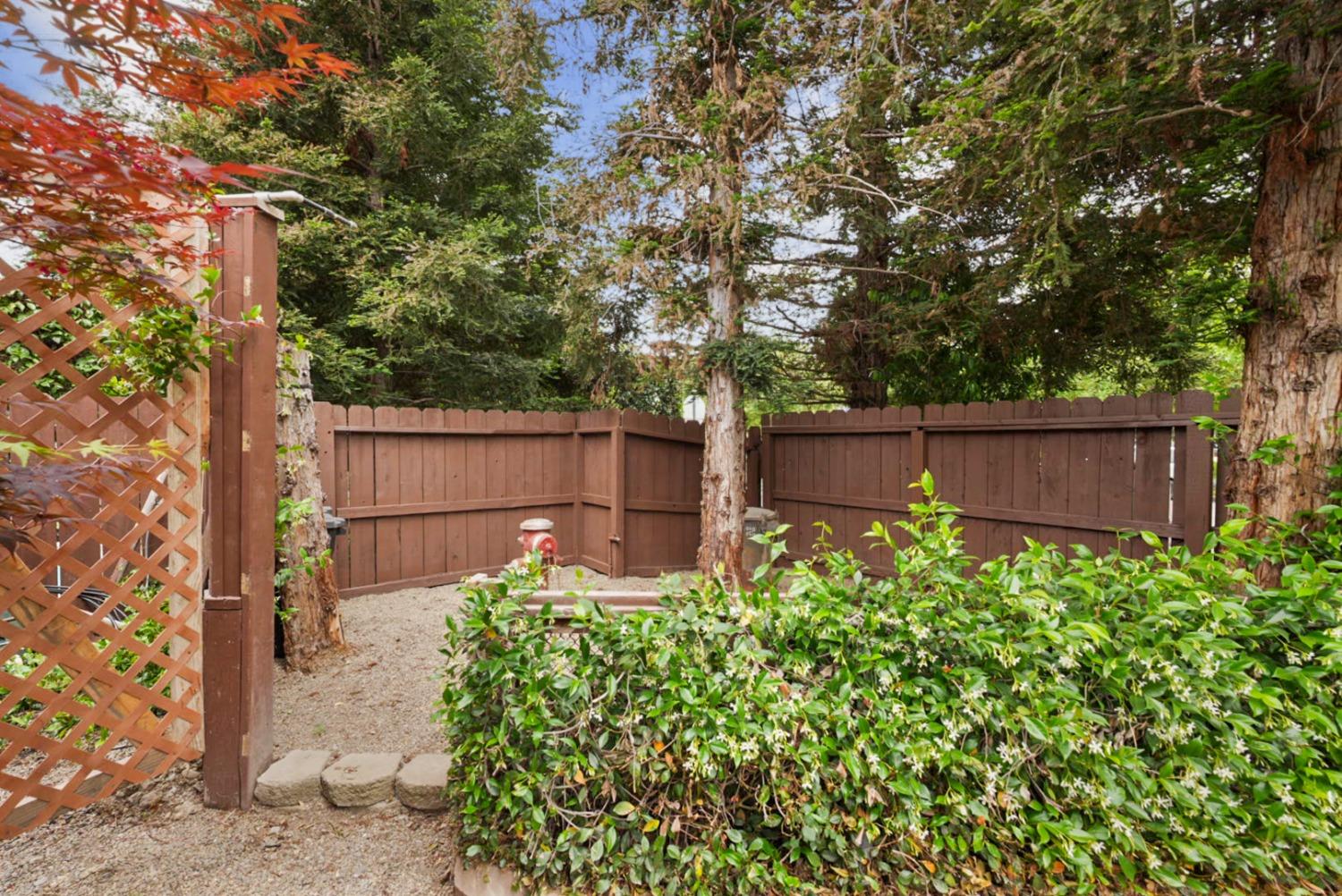 Detail Gallery Image 51 of 66 For 2881 Paseo Entrada Rd, Turlock,  CA 95382 - 4 Beds | 2/1 Baths