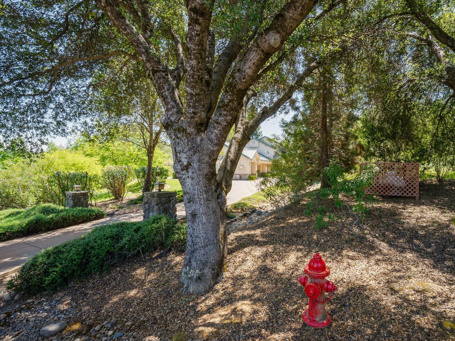 Butterfield Way, Placerville, California image 41