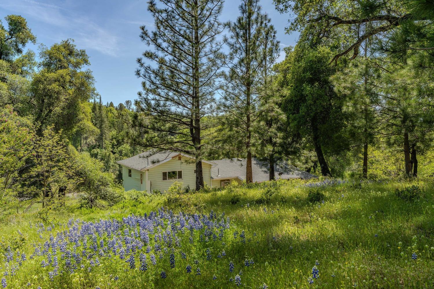 Detail Gallery Image 54 of 77 For 16735 Fiddletown Rd, Fiddletown,  CA 95629 - 3 Beds | 2 Baths