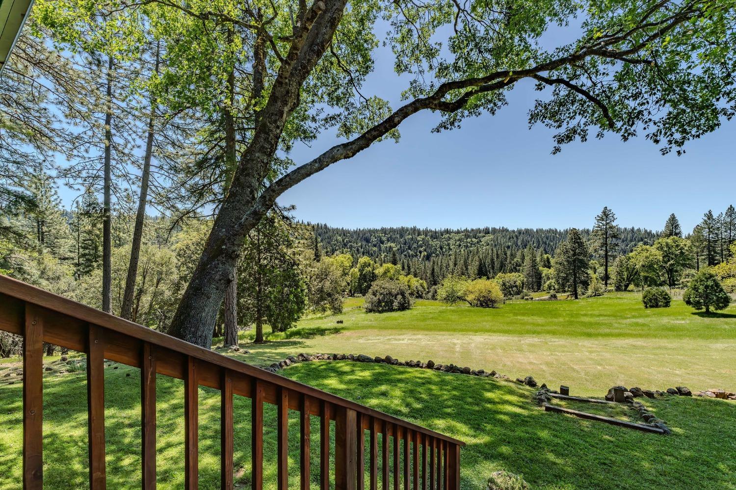 Detail Gallery Image 15 of 83 For 25624 Sherwood Dr, Pioneer,  CA 95666 - 3 Beds | 3 Baths