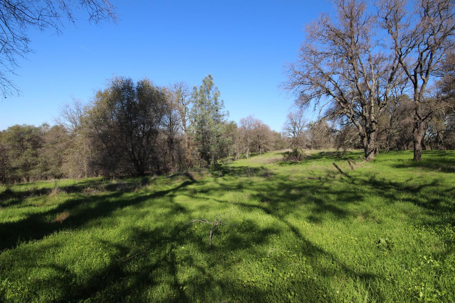 Detail Gallery Image 23 of 50 For 10650 Werner Rd, Auburn,  CA 95603 - – Beds | – Baths