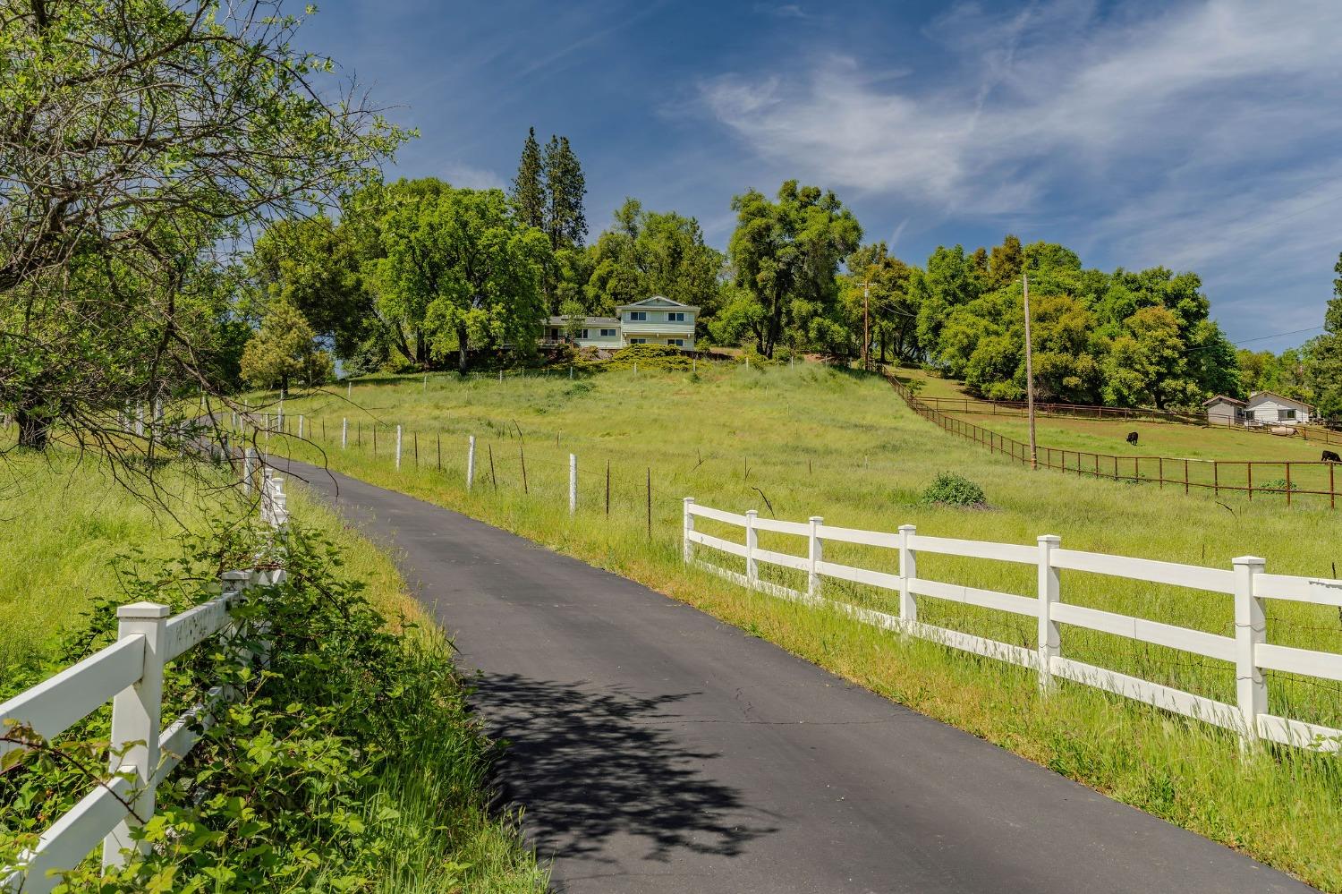Detail Gallery Image 70 of 77 For 16735 Fiddletown Rd, Fiddletown,  CA 95629 - 3 Beds | 2 Baths