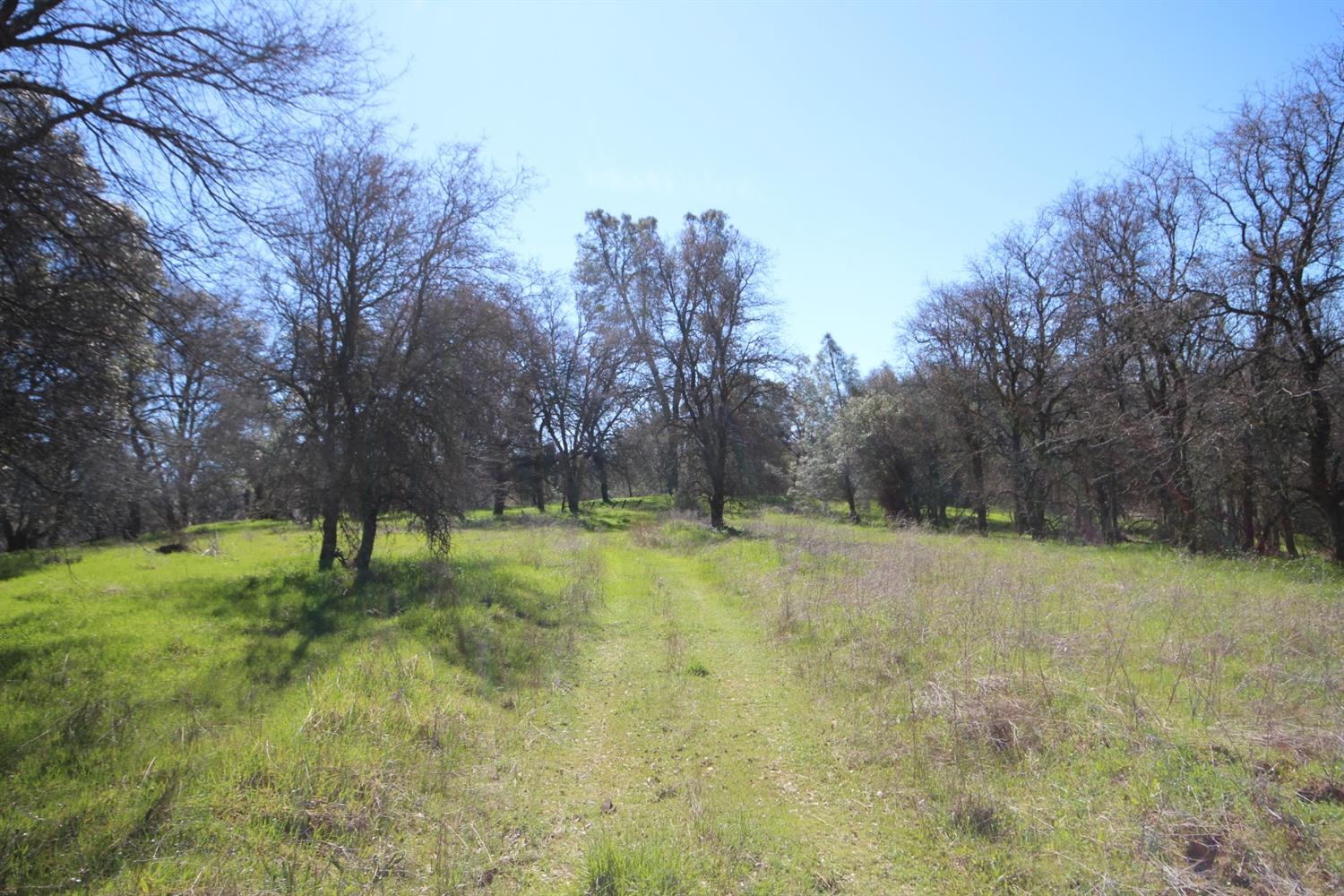 Detail Gallery Image 41 of 50 For 10650 Werner Rd, Auburn,  CA 95603 - – Beds | – Baths