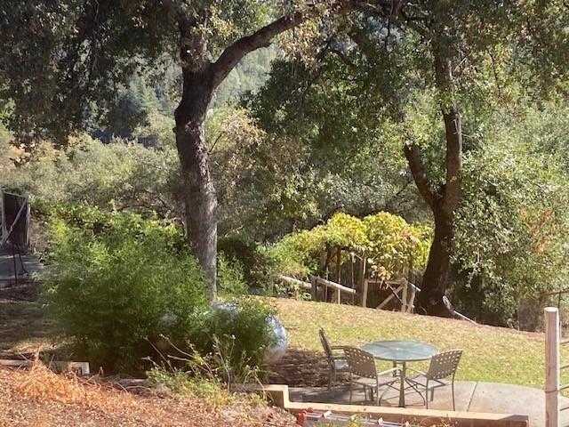 Brinks Lane, Cool, California image 27