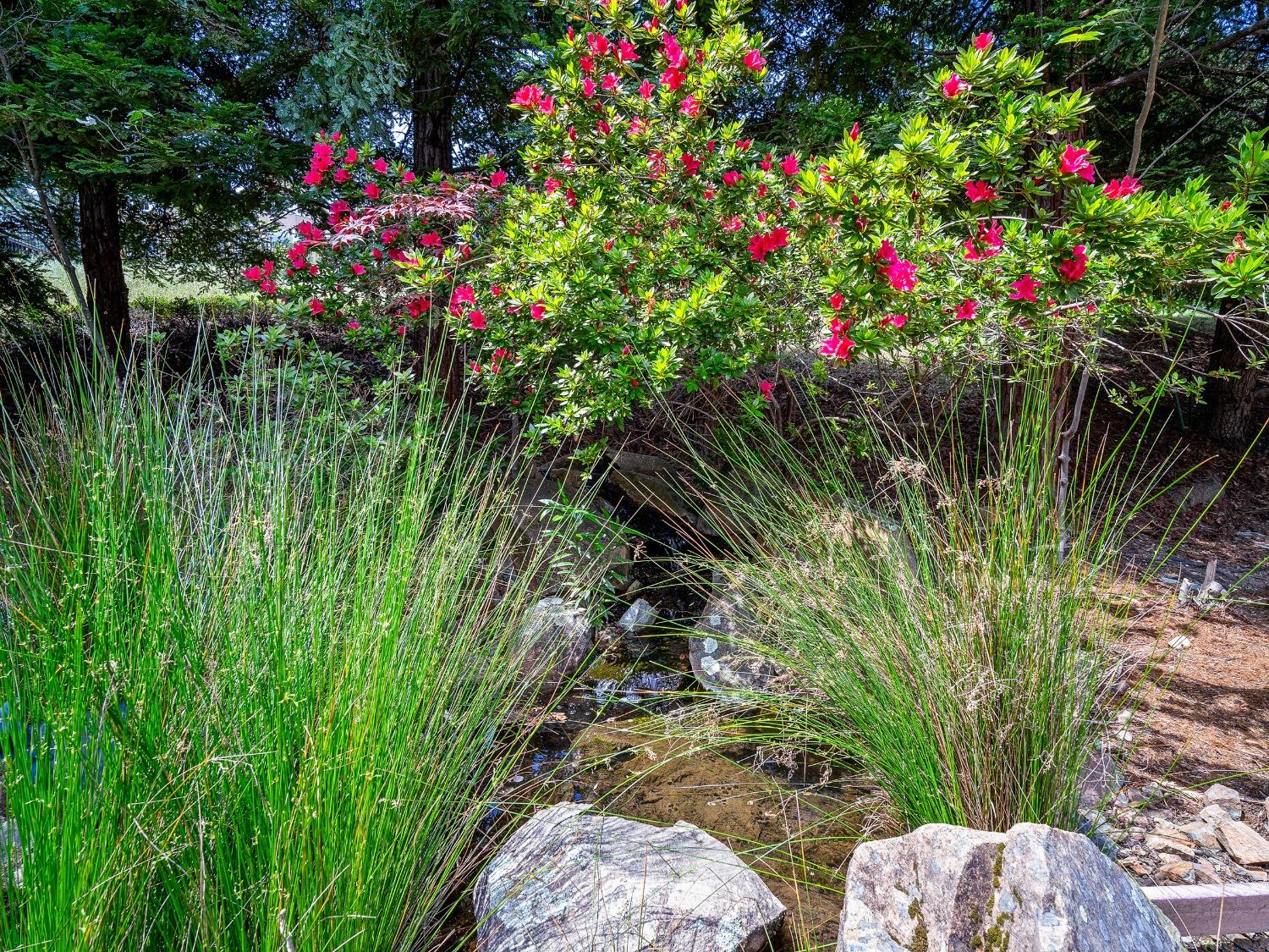 Butterfield Way, Placerville, California image 37
