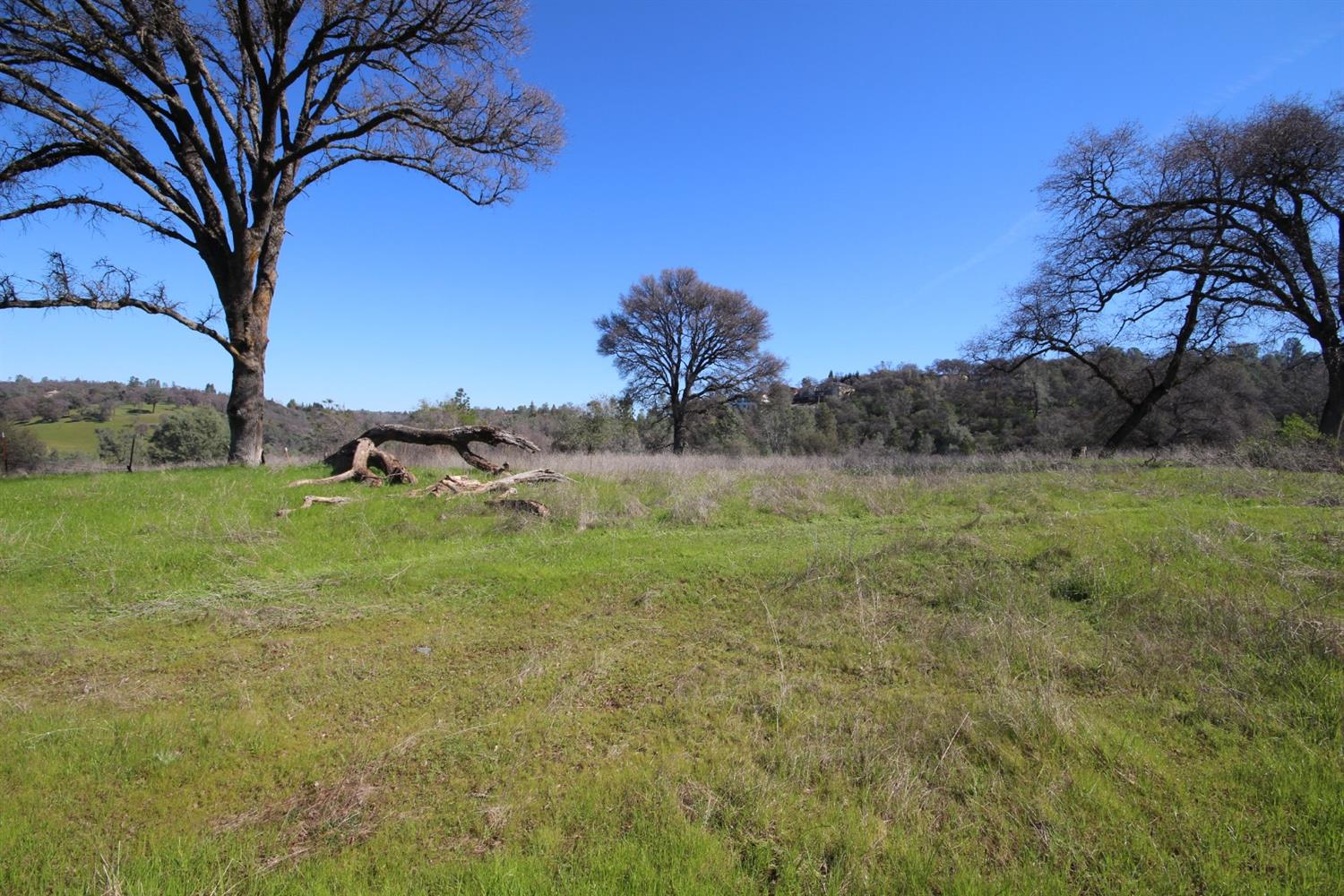 Detail Gallery Image 29 of 50 For 10650 Werner Rd, Auburn,  CA 95603 - – Beds | – Baths