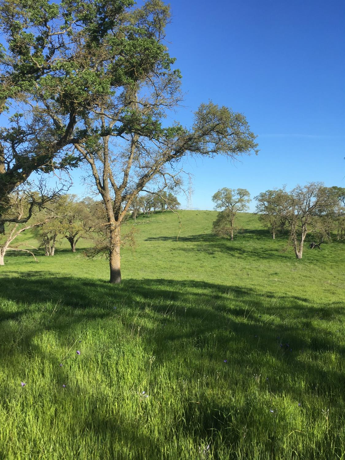 10440 Gregory Road, Valley Springs, California image 6