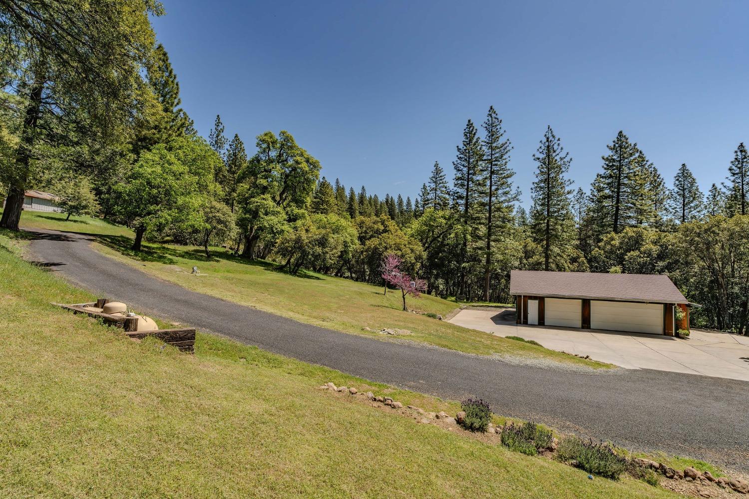 Detail Gallery Image 19 of 83 For 25624 Sherwood Dr, Pioneer,  CA 95666 - 3 Beds | 3 Baths