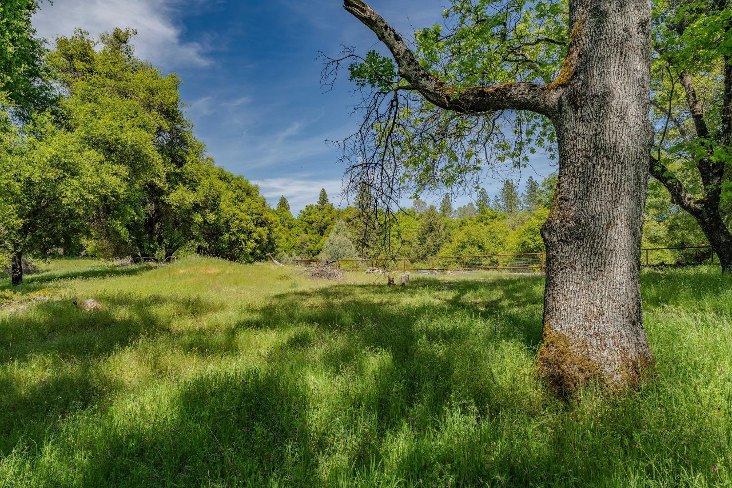 Detail Gallery Image 52 of 77 For 16735 Fiddletown Rd, Fiddletown,  CA 95629 - 3 Beds | 2 Baths