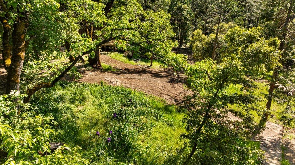 Detail Gallery Image 7 of 17 For 12056 N Bloomfield Rd, Nevada City,  CA 95959 - – Beds | – Baths